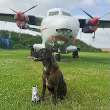Cujo Jump Tandem 